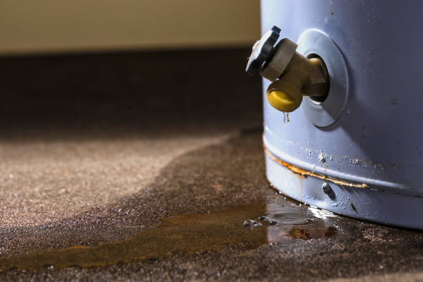 Best Basement water damage restoration  in Moweaqua, IL