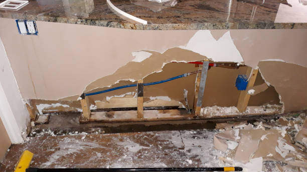 Best Local water damage restoration  in Moweaqua, IL