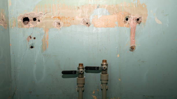Best Flooded house restoration  in Moweaqua, IL