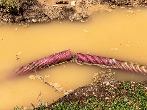 24/7 water damage repair in IL