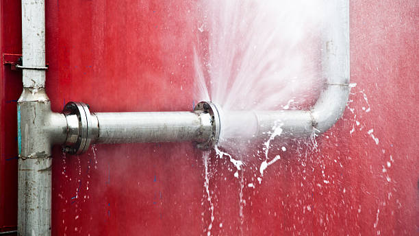  Moweaqua, IL Water damage restoration Pros